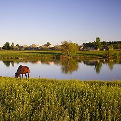 photo "quiet evening"