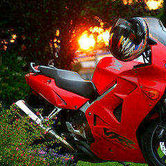 photo "Red Rider"