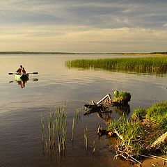 фото "вечернее плавание"