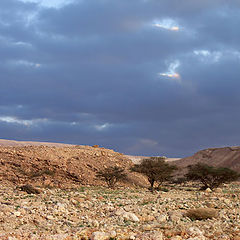 фото "Закат. Малый кратер. Каменная пустыня Негев."