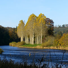 photo "Fisherman on the Tweed"