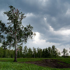 фото "Майский гром"