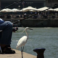 photo "Waiting for fish"