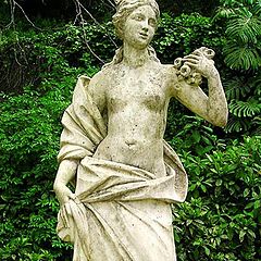 photo "Quinta da Regaleira 17 - Venus"