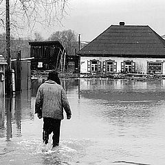 photo "have sunk"