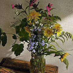 photo "Simple flowers in Coffee cupping glass"