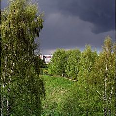 фото "Перед дождем"