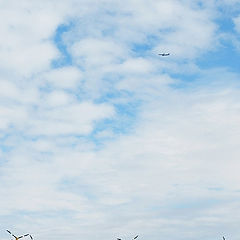 фото "Windkraftwerk & самолет"