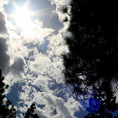 photo "Arizona Sky"
