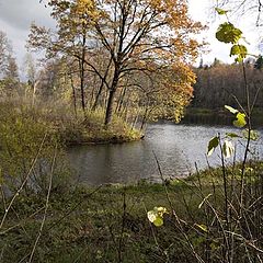 фото "Осень у речки"