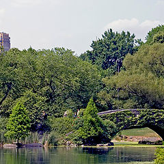 photo "Central Park Bridge NY"