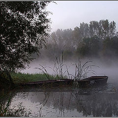 фото "Morning Mist"