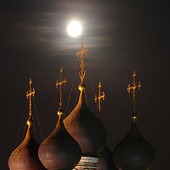 фото "В лунном свете..."