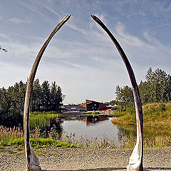 photo "Whale Jaw Bones"