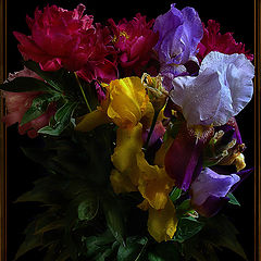 photo "bouquet"