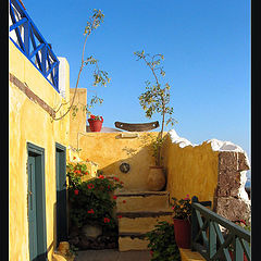 photo "OIA"