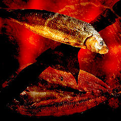 фото "Kippers from hell"