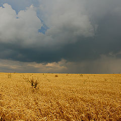 photo "On horizont is raining"