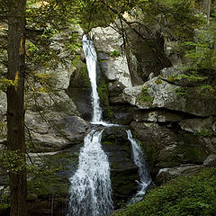 фото "Waterfall. Upper Falls"