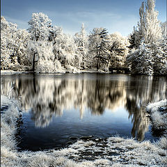 фотоальбом "Infrared photography"