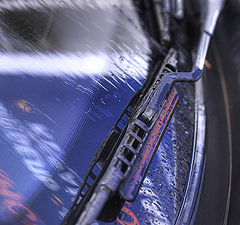 photo "rain"