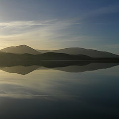 photo "Reflections"