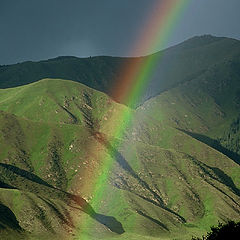 фото "Over the rainbow"