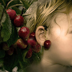 фото "Le temps des cerises"