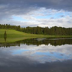 фото "Симметрия природы"