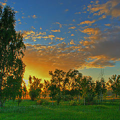 фото "Прогулки перед сном"