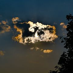 фото "Cloud of Gold"