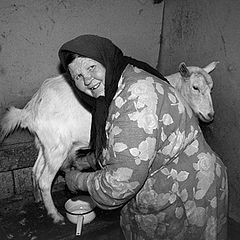 photo "Woman to Blow and her(its) nanny goat"