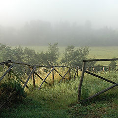 фото "Утренний туман"