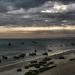 photo "working harbor"