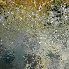 фото "water"