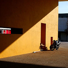 фото "Shadow/light"