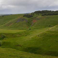 фото "Цветные изгибы"