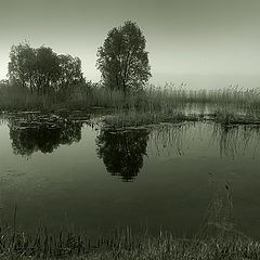 фото "Guten morgen"