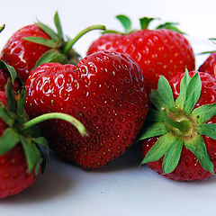 photo "Strawberries forever"