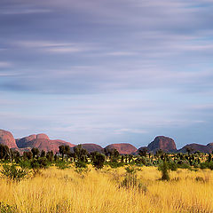 фото "Kata Tjuta"