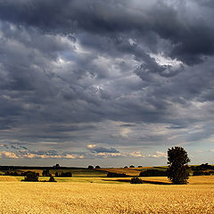 фотоальбом "Landscape"