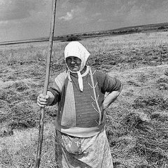 photo ""Woman Sasha on cleaning hay""