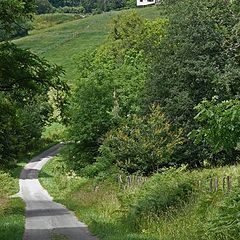 photo "Let us walk in the greenery"