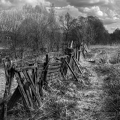 photo "Black-and-white with a fence"