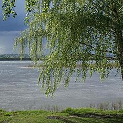 photo "After rain"