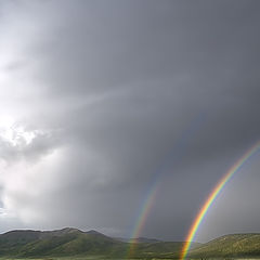 photo "Geomtry of a rain"