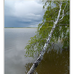 фото "Ближе к воде"