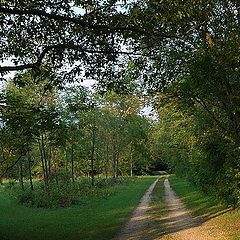 фото "Country Road"