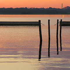 photo "All about white nights..."