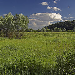 photo "peace and quiet"